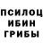 Псилоцибиновые грибы мухоморы Meri Akobyan