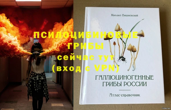 тгк Абдулино